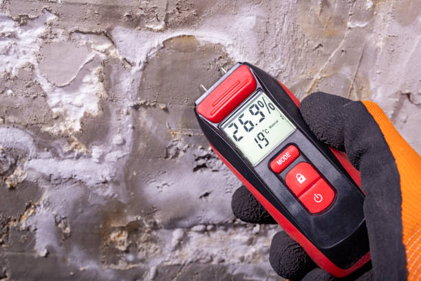 Best HVAC Mold Remediation in Towaco, NJ